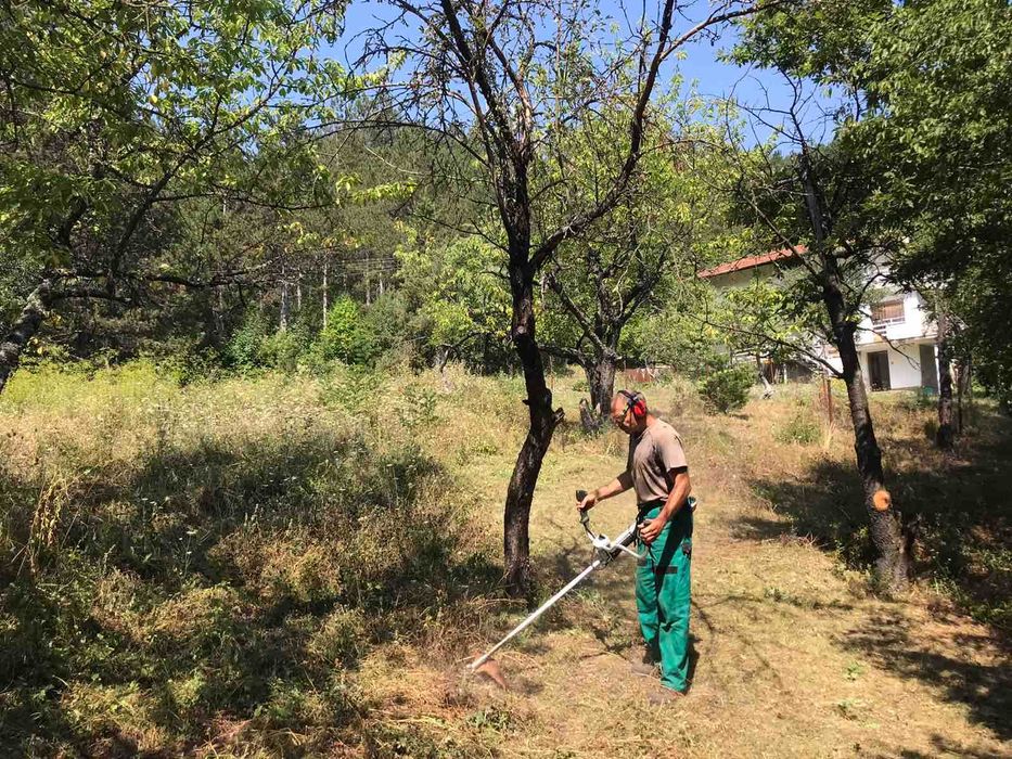 Косене. Рязане на храсти и опасни дървета. Разчистване на терени.