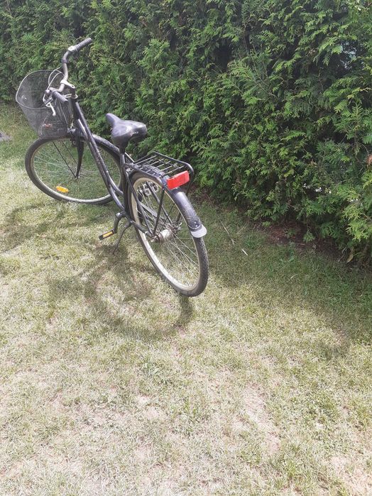 Biciclete dama