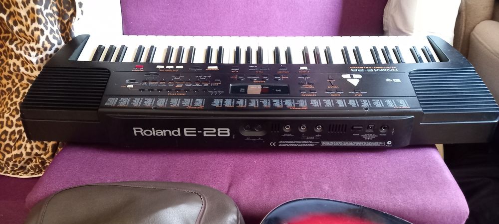 Vând orga electronica Roland E28