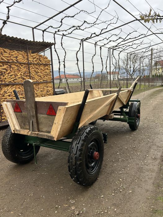 Căruță de Satu Mare