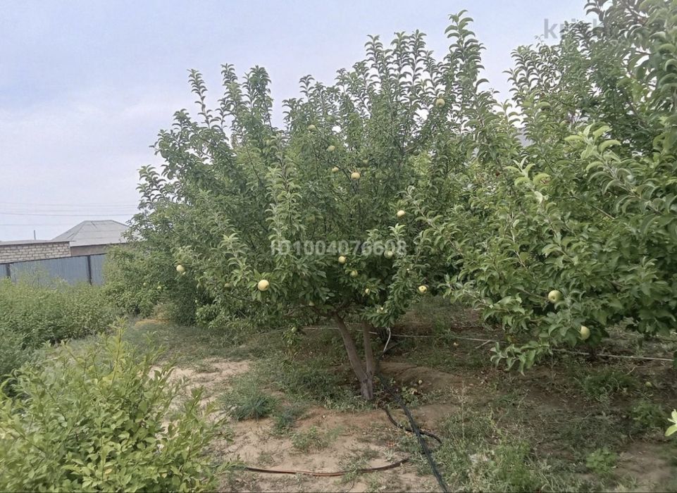 Продаётся просторный 4-комнатный дом 137,6 м²