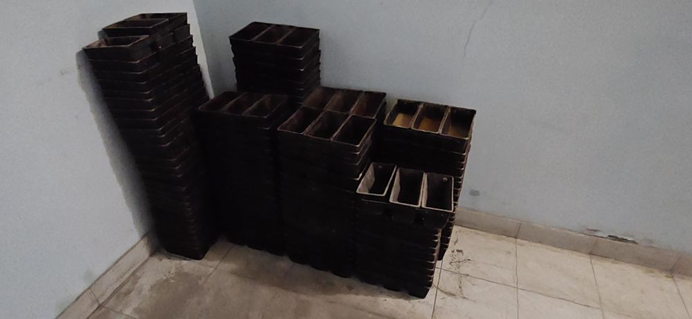 Bòlka non sehi sotIladi