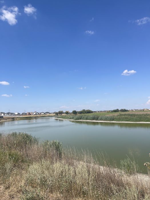 Teren Lac Berceni Vidra