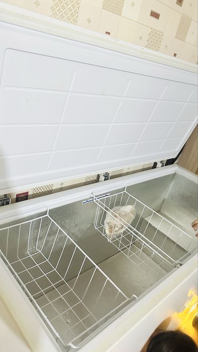 Продам морозильную  камеру Бирюса 455 КХ