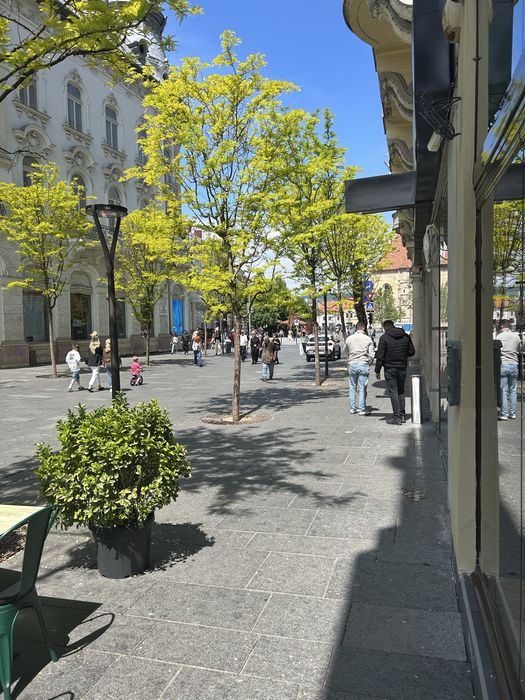 Spațiu Comercial ultracentral la parter în Palatul Sebestyén, strada Universității numarul 3, Cluj-Napoca
