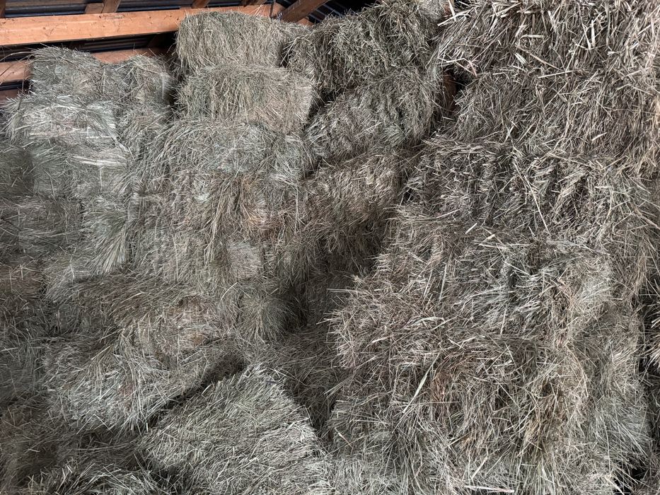 Сено разнотравье щоп