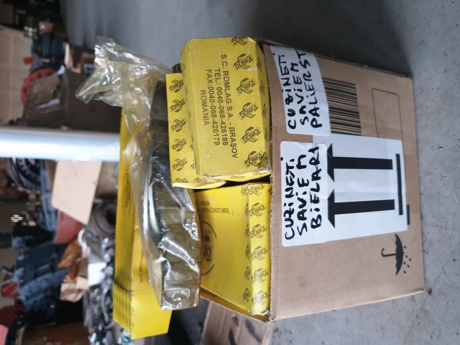 Cuzineti raba si saviem noi de Brasov