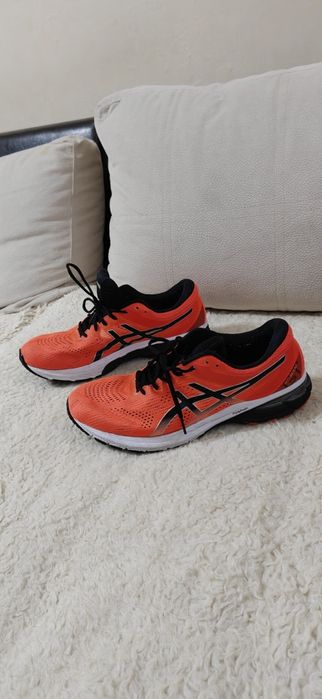 Asics GT2000 8 n47
