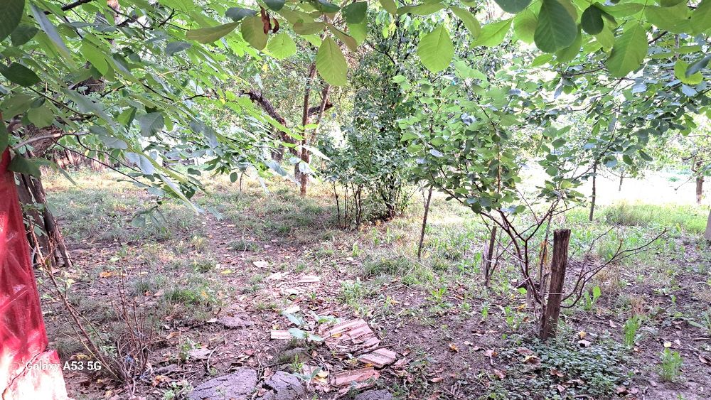 Vând casă în Străteni com Lozna