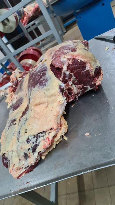 Говядина халал оптом