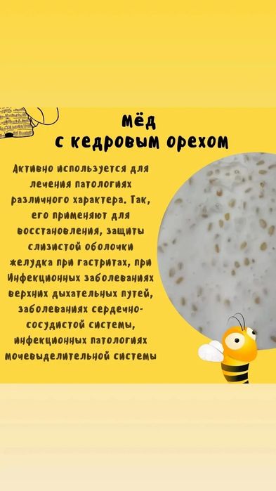 Бал (Мёд) Катон Қарағайдікі