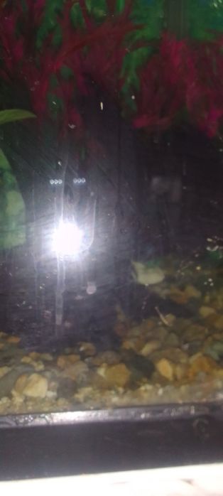 Аквариумы 100л 80л