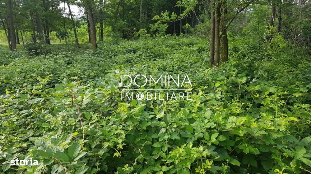 Vanzare teren intravilan 6843 mp, sat Polovragi