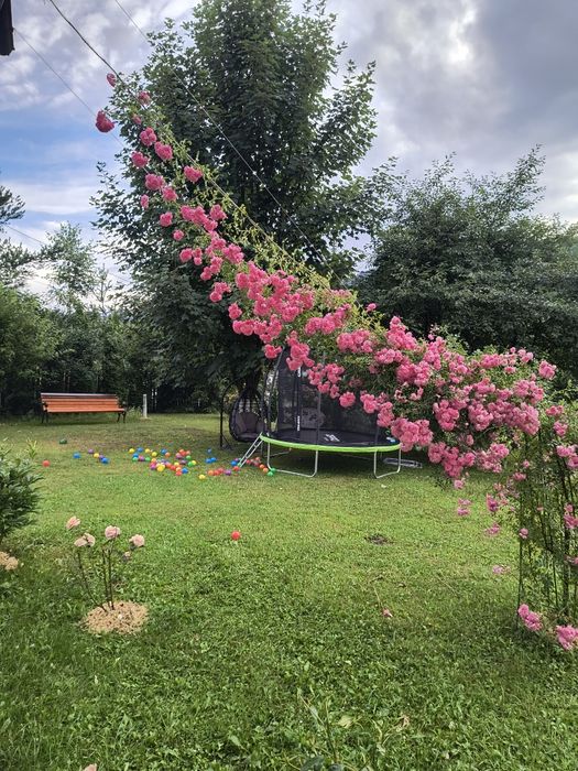 Camere de închiriat Ceahlău, Neamț