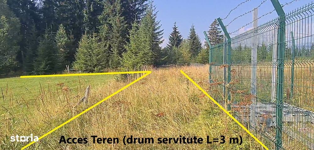 Neagra Sarului - Saru Dornei, Teren S = 6450 mp; 13 km de Vatra Dornei