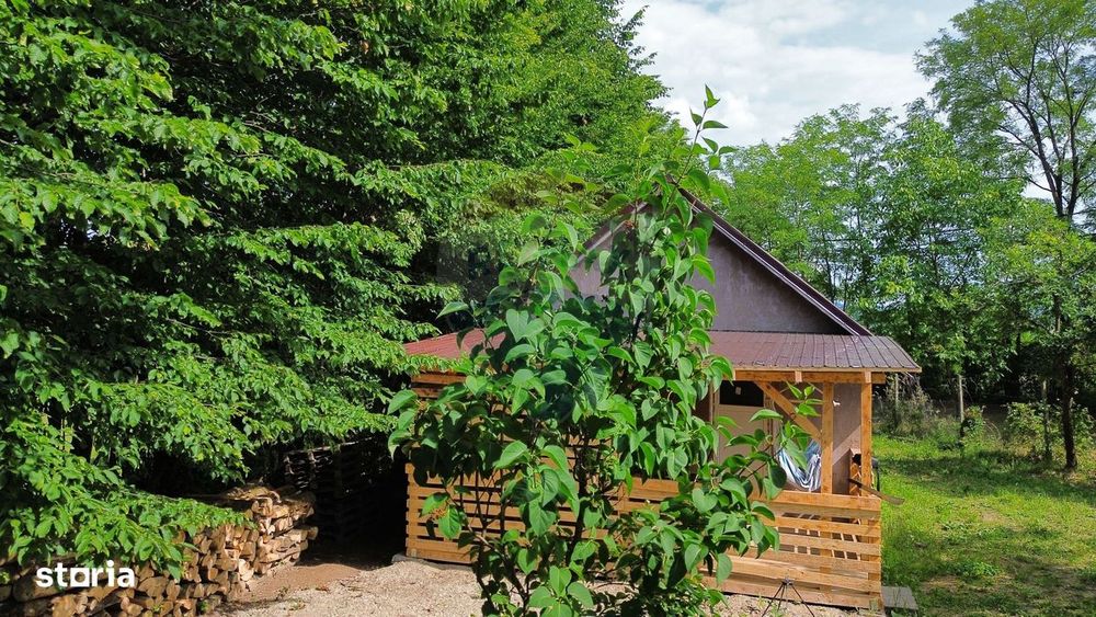 De vânzare cabană cu teren în zona Remetea Chioarului