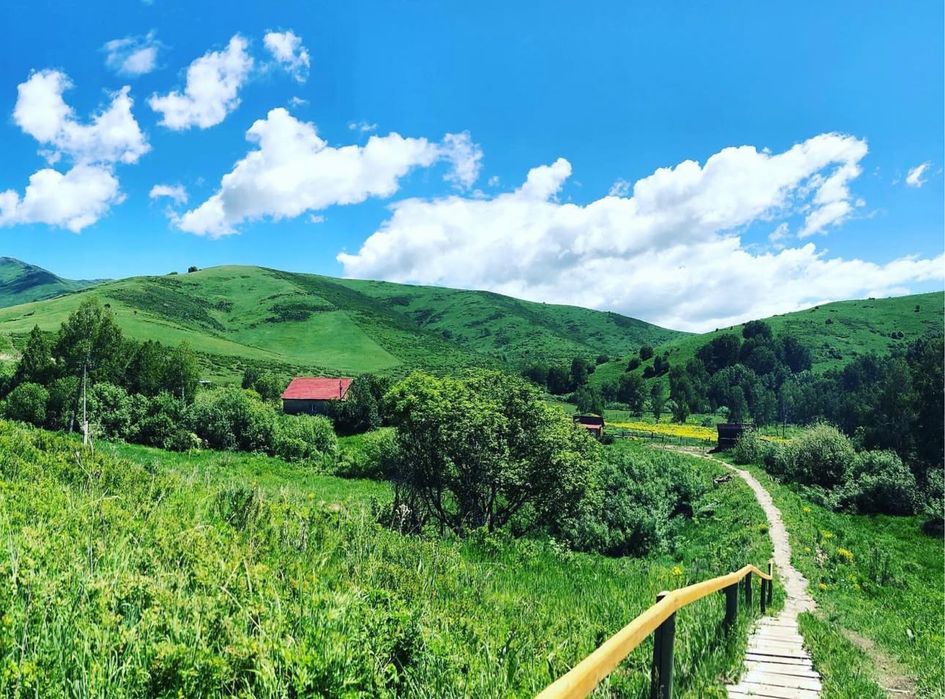 Продам оздоровительный комплекс (пантолечебница)