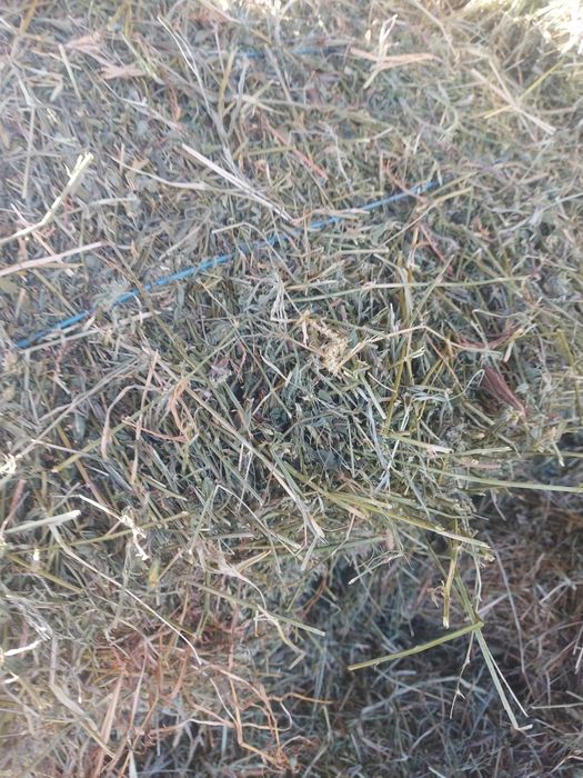 Vând baloti de lucerna,fan și paie de grau