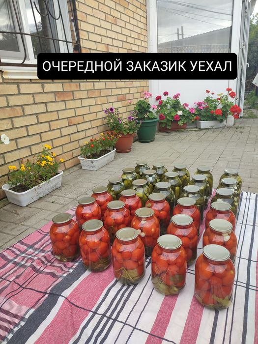 Соленые огурцы. Лучшие