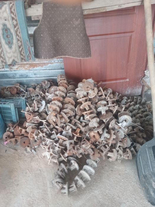 Замок тайрот таға струпцина леса бар