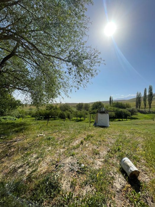 Фазенда в Акыртобе