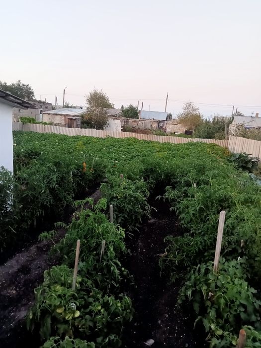 Продается дом в поселке Актау.