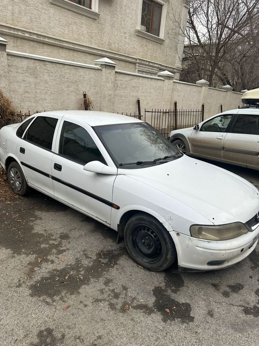Опель Вектра В ушастый
