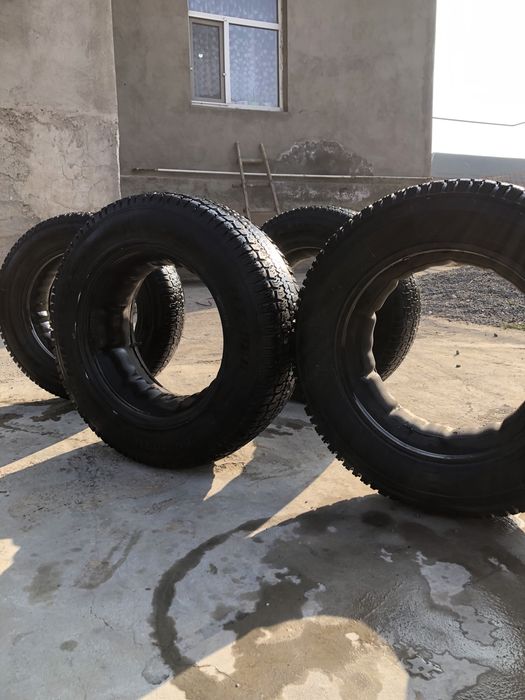 Нива шина шымкентте тур