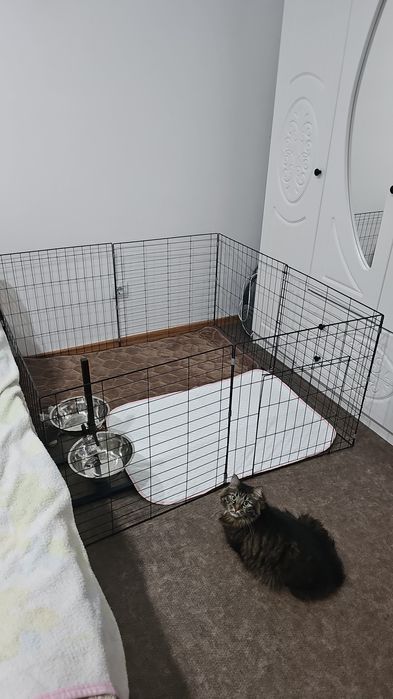 Вольер для собак