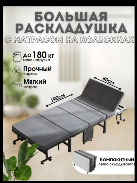 EVINDEL Раскладушка ,75х190х30см