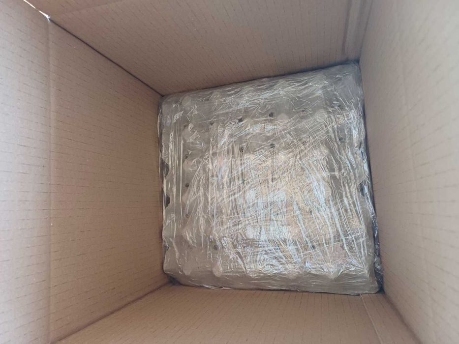 Оплодени яйца от "Черен Австралорп" / Яйца за люпене