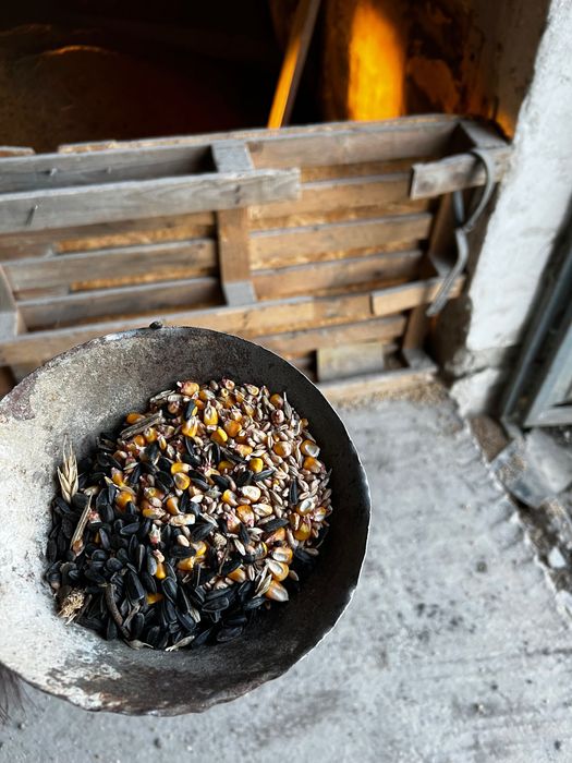 Furajul ideal pentru animale