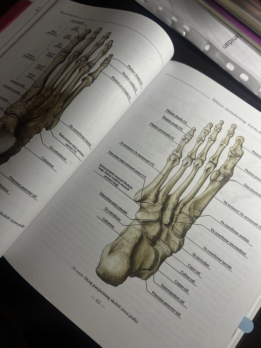 Odam anatomiyasi kitobi