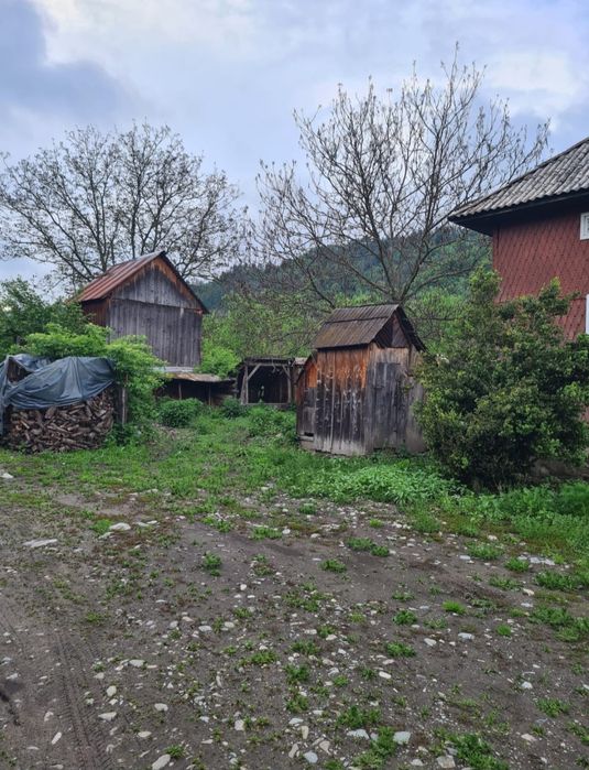 Vând casă în Moisei + 10 ari de teren