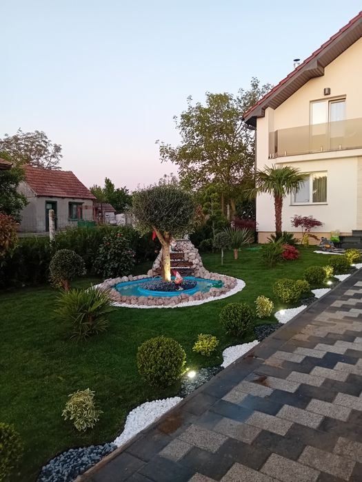 Plante irigatii gazon