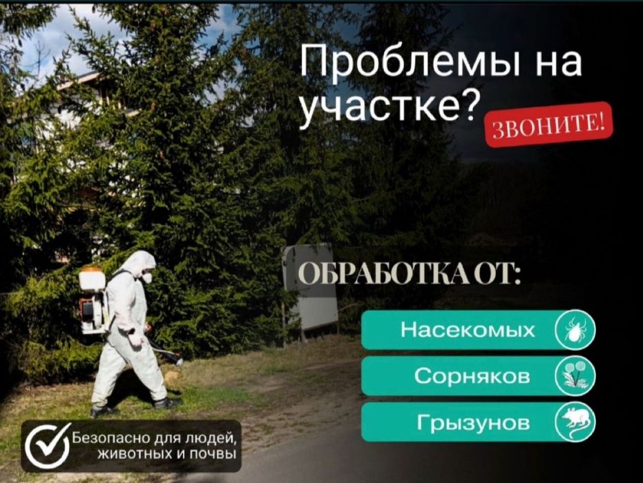 Дезинфекция Тараз