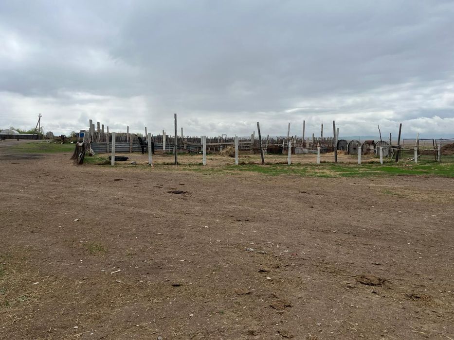 Продам частный дом можно под К/х