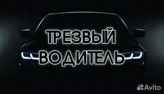 Трезвый  Водитель