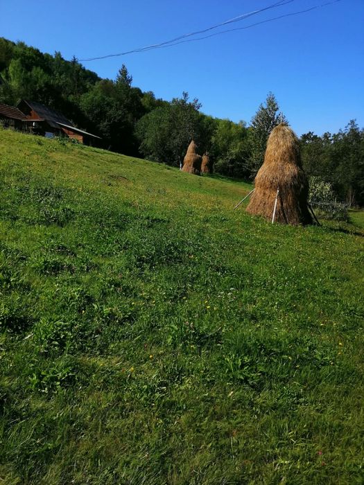 Vând fân cosit anul acesta