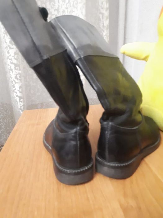 Сапожки демисезонные