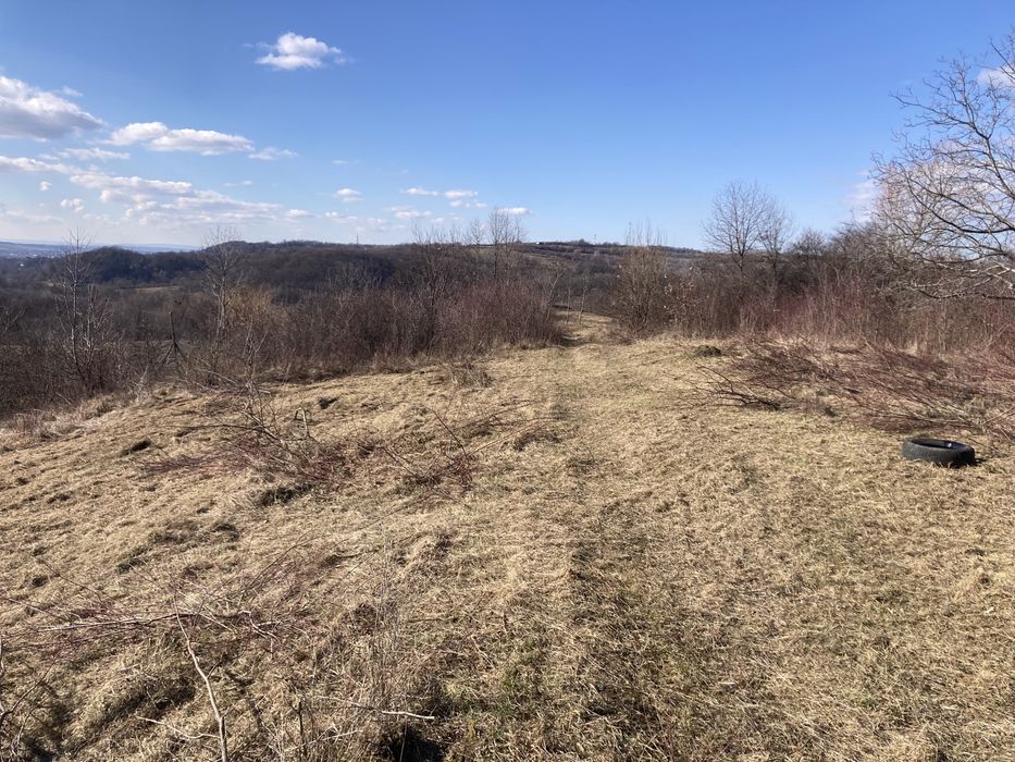 Defrisari terenuri, intretinere spatii verzi si demolari