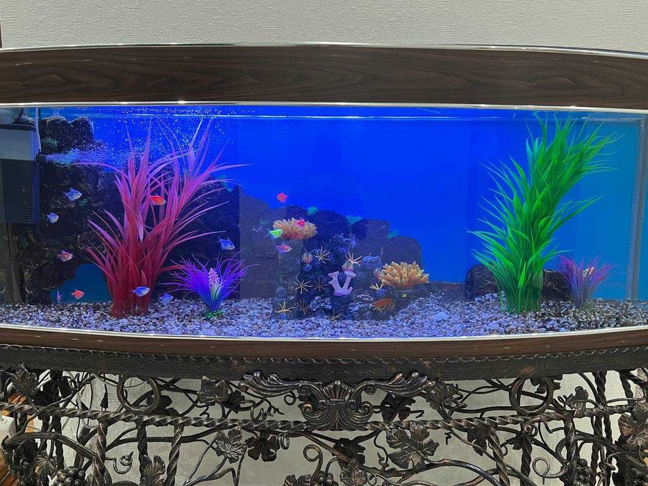 Профессиональная чистка аквариума AQUALIFE