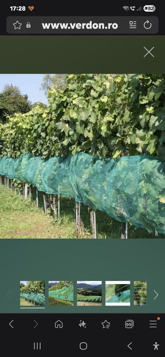 Vând plasa antipasari