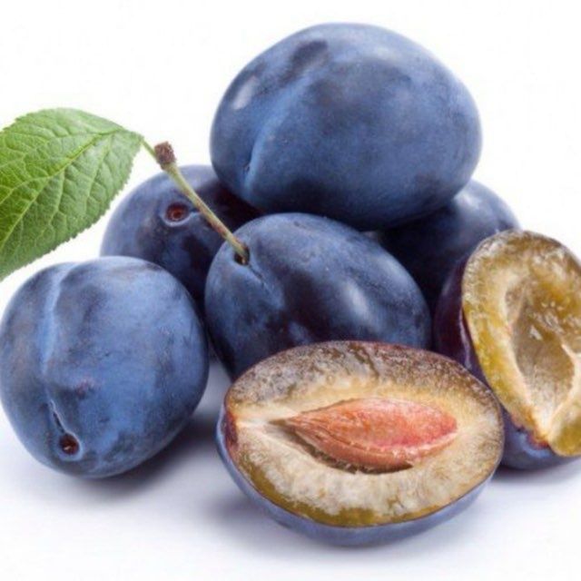 Serhosil, ishonchli g'aynoli, olxoʻri, sliva kochatlar