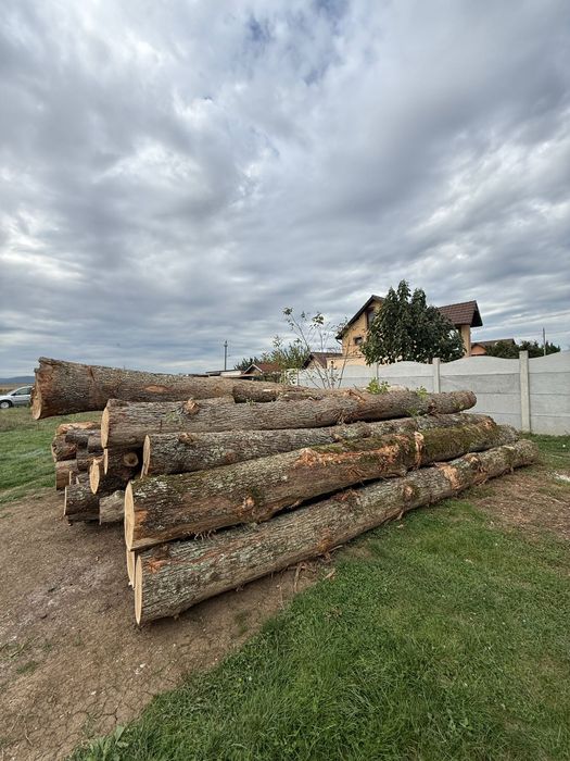 Lemn de foc Simeria 350 adus acasă