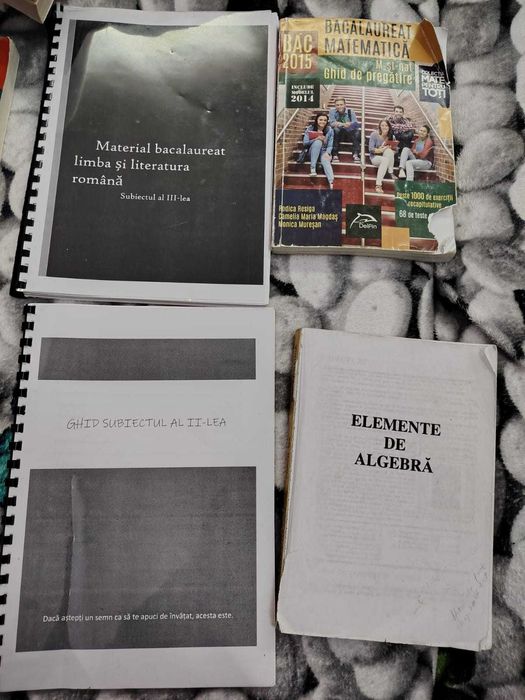 Culegeri pentru Bac și liceu: matematică X–XII, biologie, română.