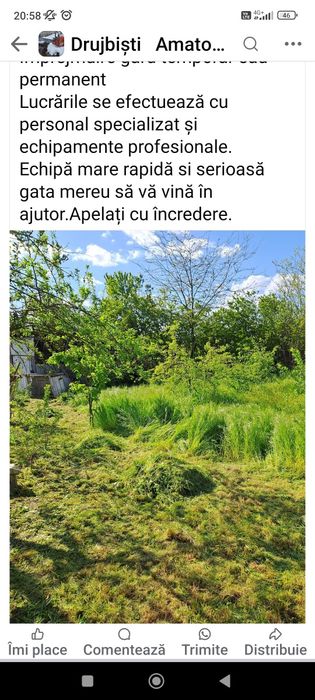 Toaletez defrișări grădini Amenajări  tuns gazon. Sap cu motocultor