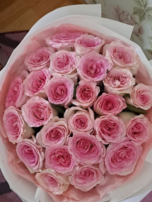 Розовые розы 25 штук