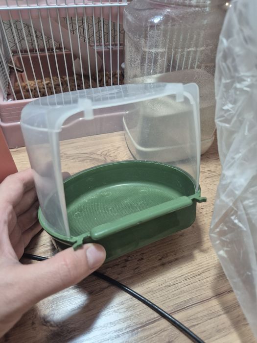 Джунгарский хомяк (белый)