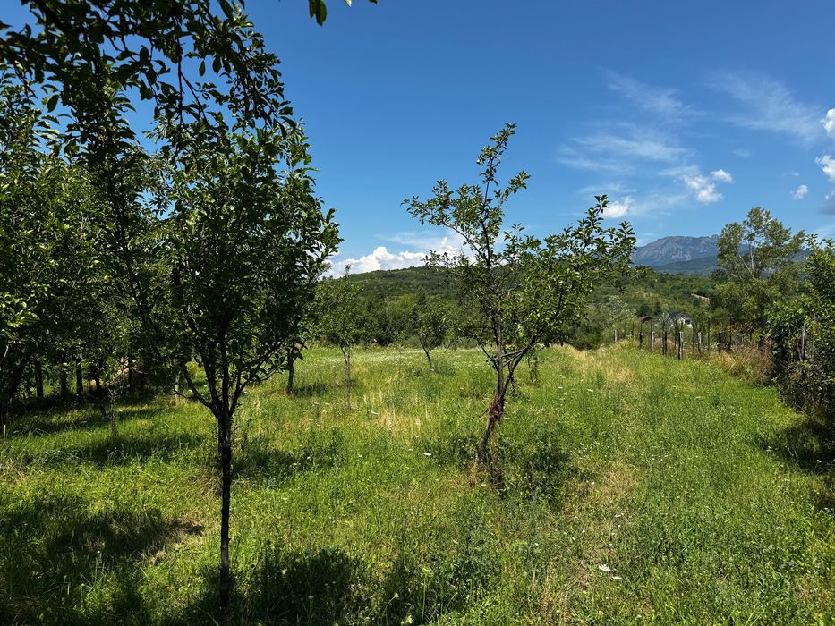 Teren intravilan de vanzare - Salatrucel, Valcea